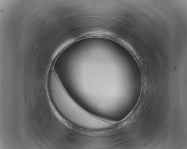 X0000087681042200705040745