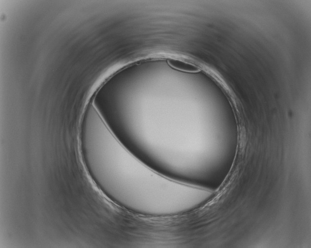 X0000087681048200705040745