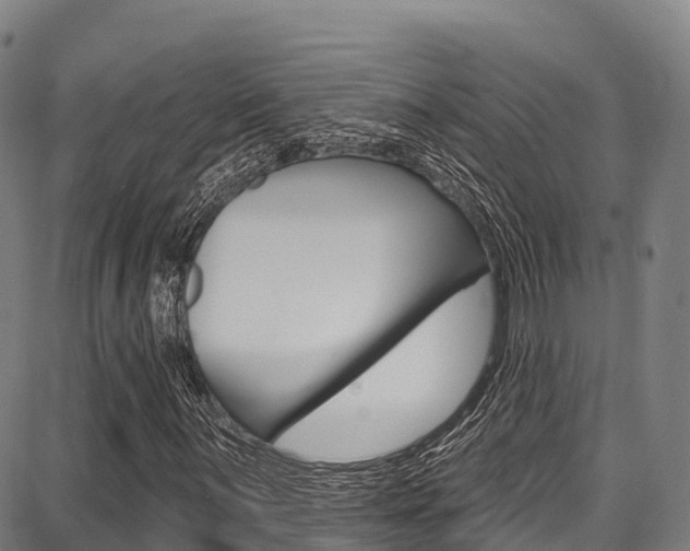 X0000087681059200705040745