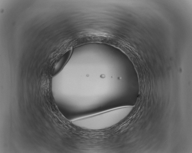 X0000087681061200705040745