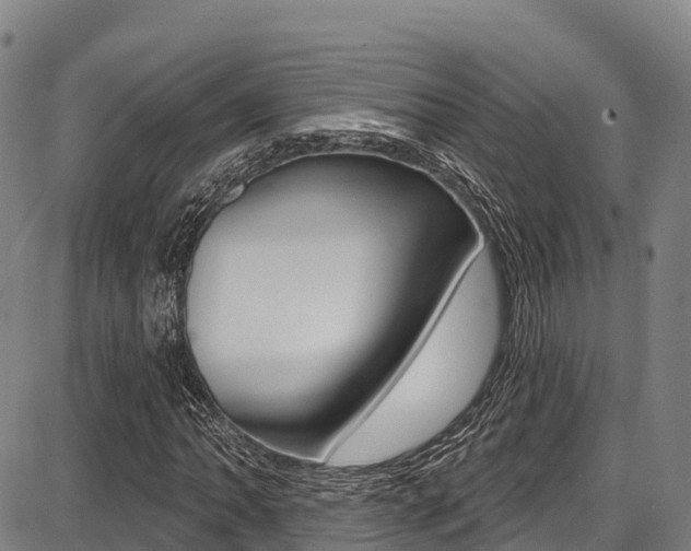 X0000087681062200705040745