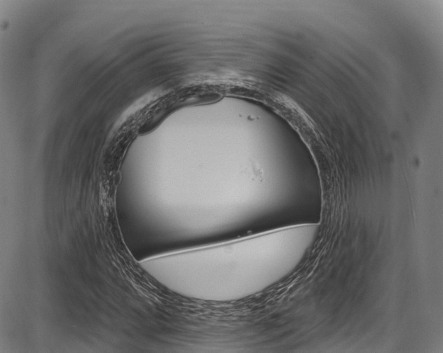 X0000087681064200705040745