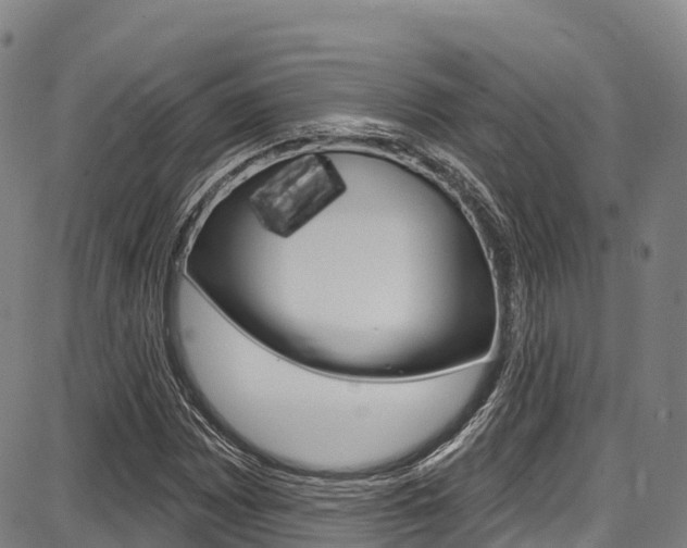 X0000087681065200705040745