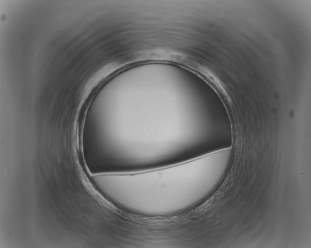 X0000087681080200705040744