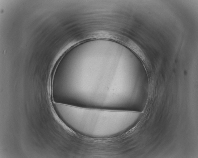 X0000087681084200705040744