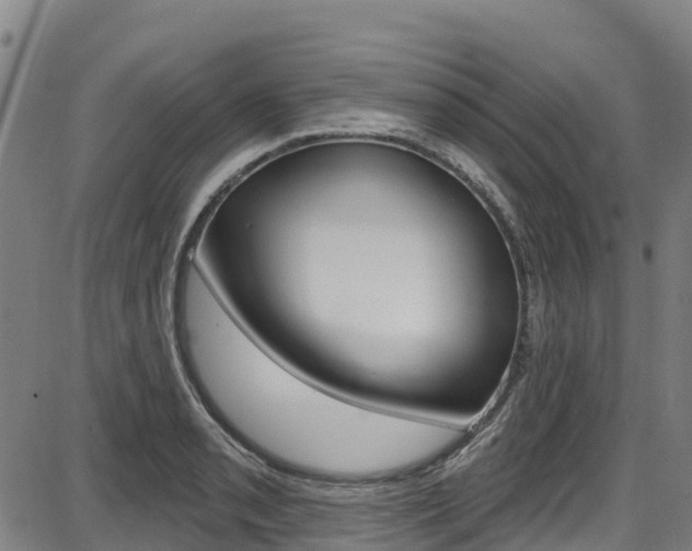 X0000087681085200705040744