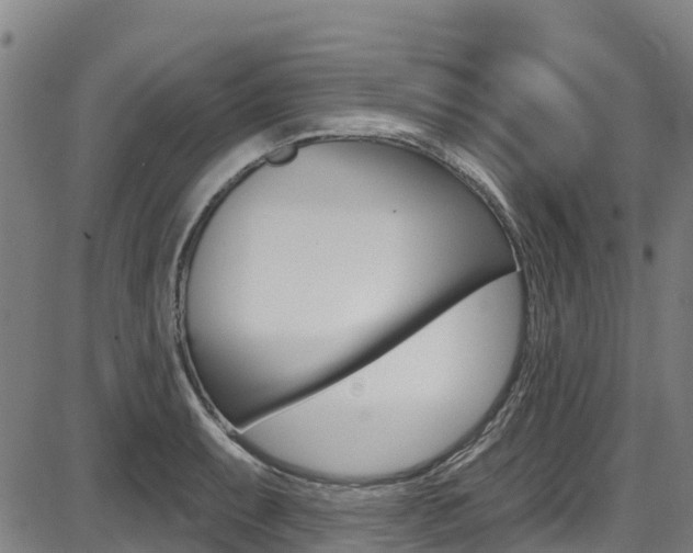 X0000087681087200705040744