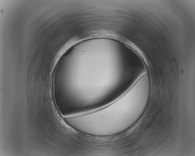 X0000087681102200705040744