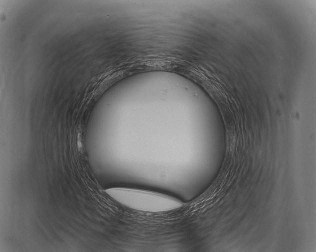 X0000087681106200705040743