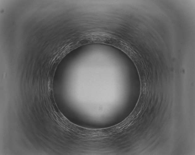 X0000087681108200705040743
