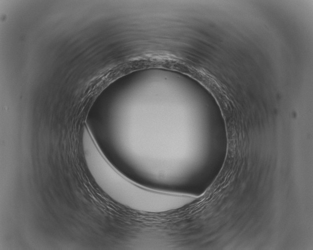 X0000087681110200705040743