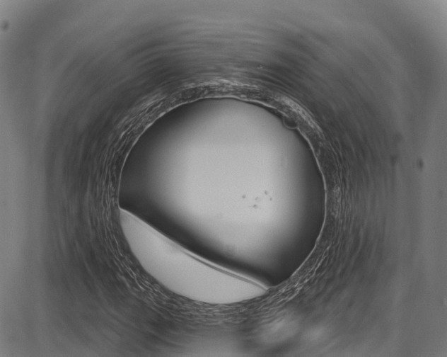 X0000087681111200705040743