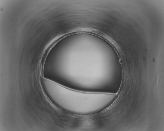 X0000087681127200705040744