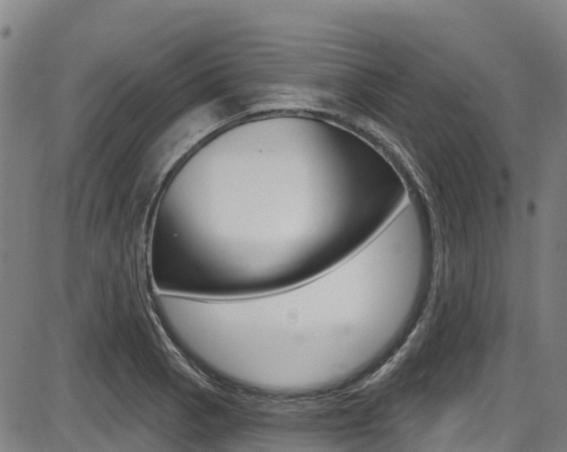 X0000087681129200705040744