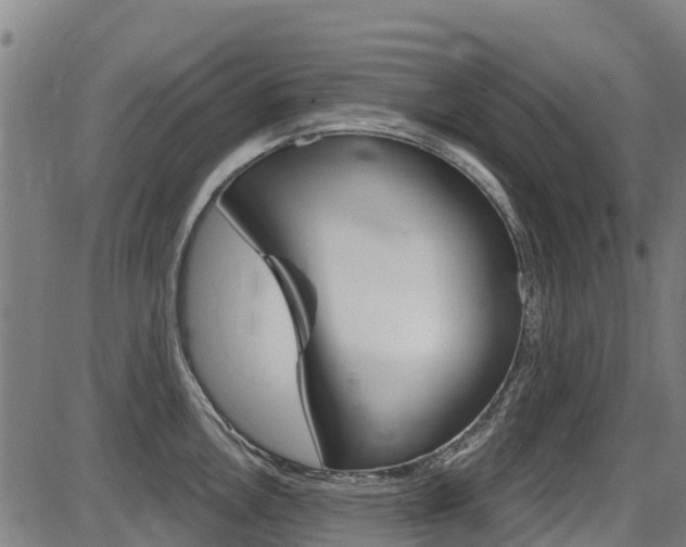 X0000087681146200705040744