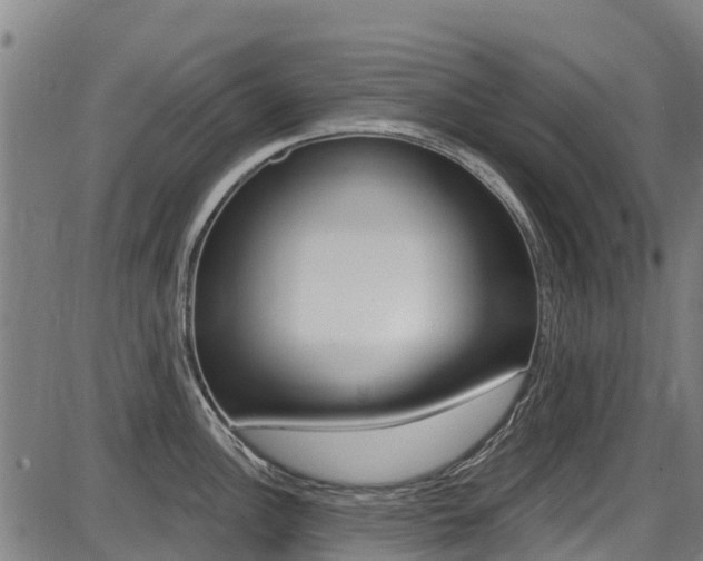 X0000087681148200705040744