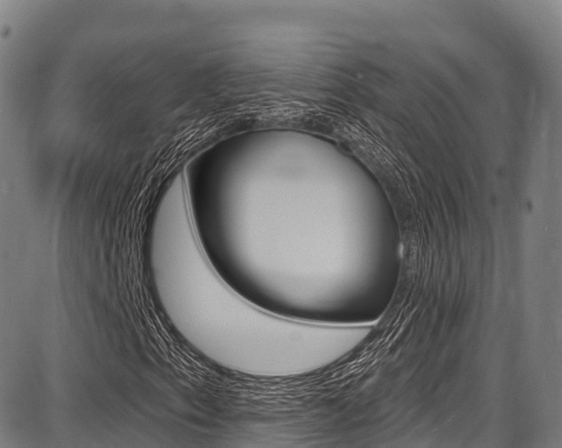X0000087681153200705040743