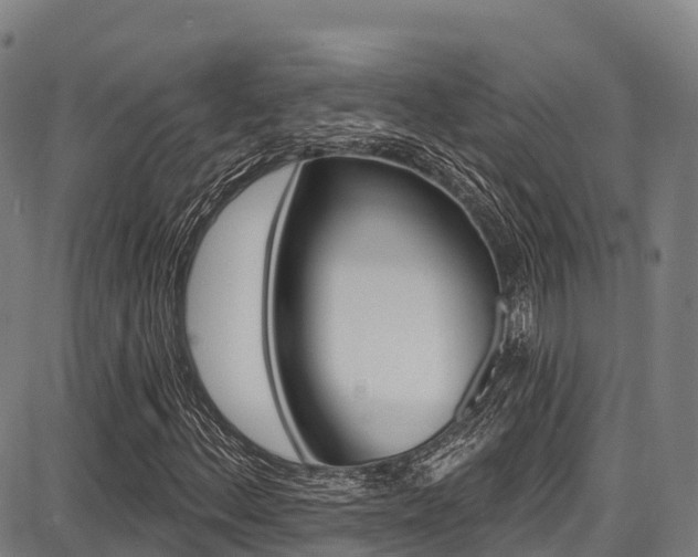 X0000087681156200705040743