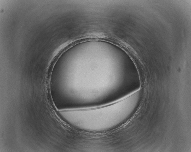 X0000087681168200705040743