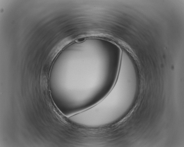 X0000087681177200705040743