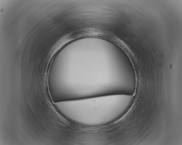 X0000087681178200705040743