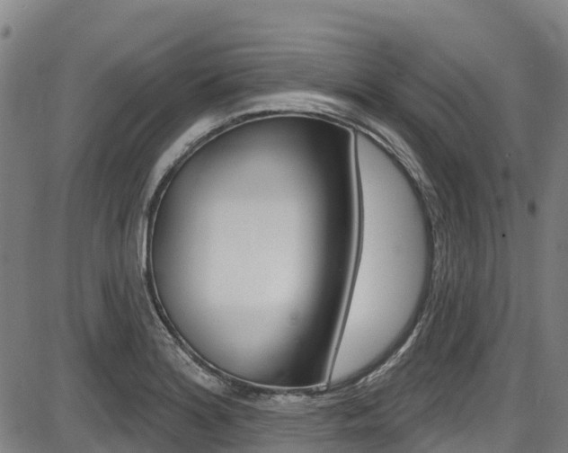 X0000087681180200705040743