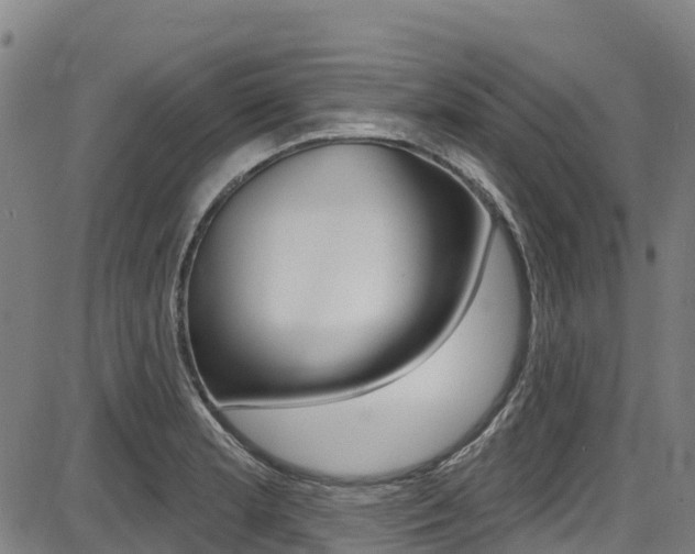 X0000087681181200705040743