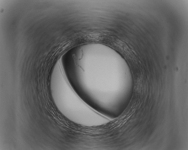 X0000087681201200705040742