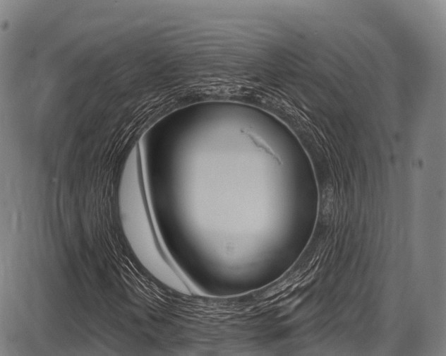 X0000087681202200705040742