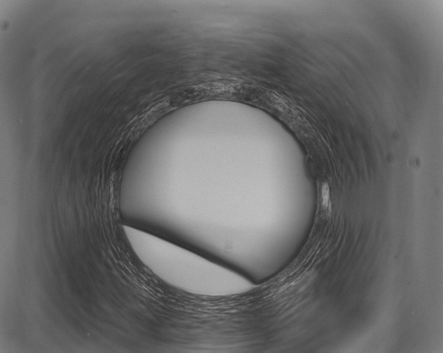 X0000087681203200705040742