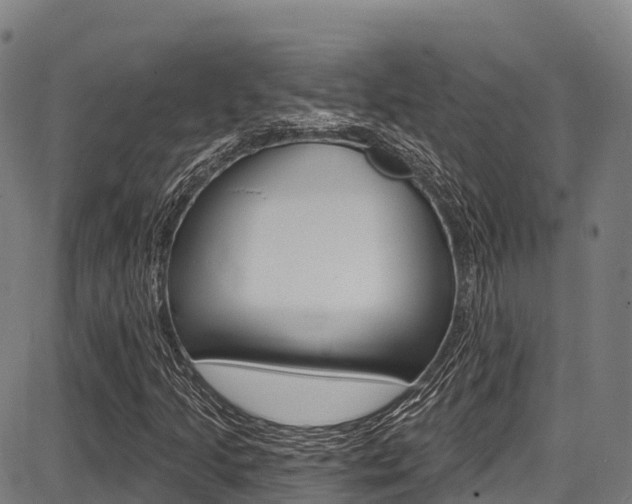 X0000087681205200705040742