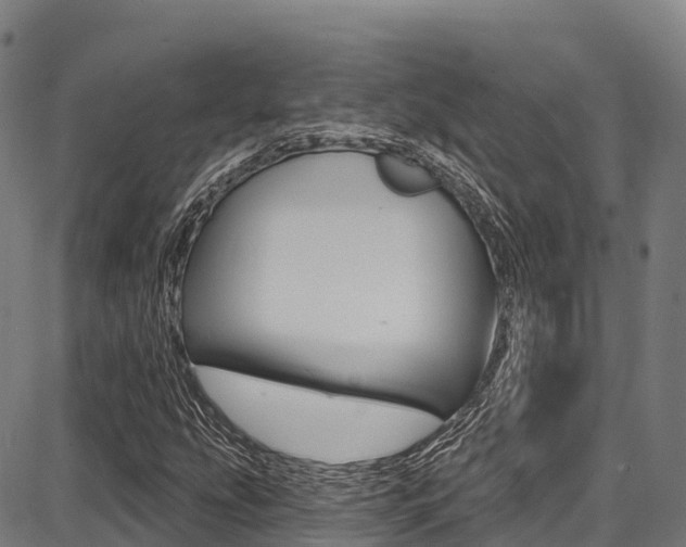 X0000087681207200705040742