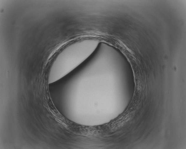 X0000087681208200705040742