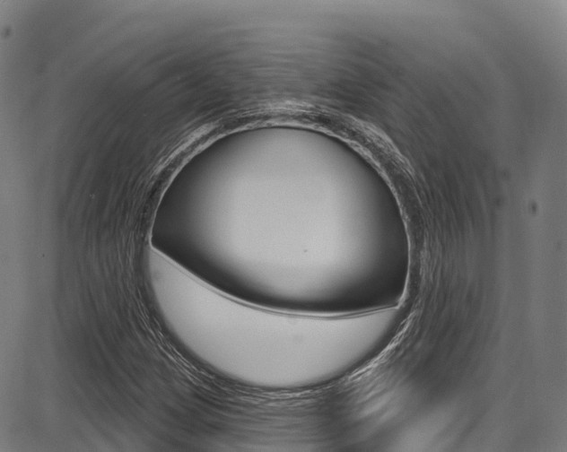 X0000087681209200705040742