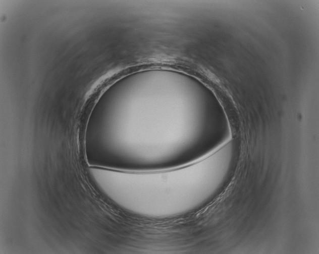 X0000087681214200705040742