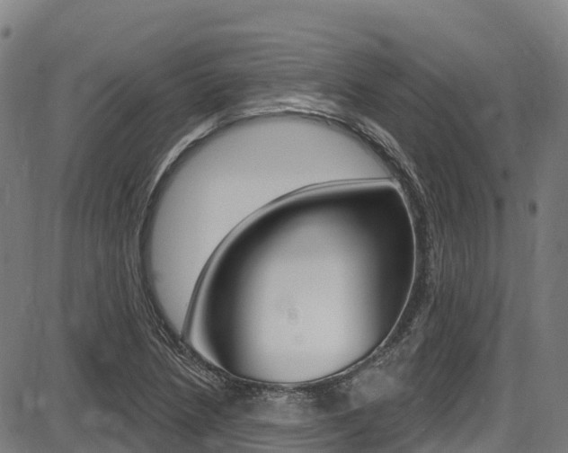 X0000087681218200705040742