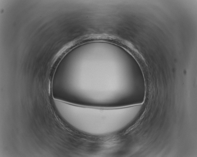 X0000087681221200705040742