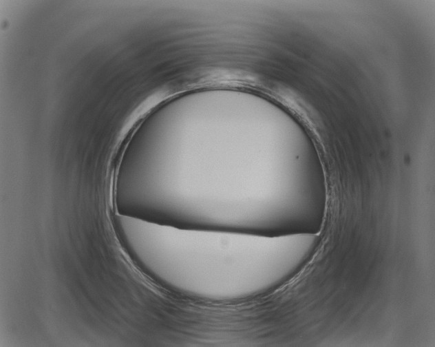 X0000087681227200705040742