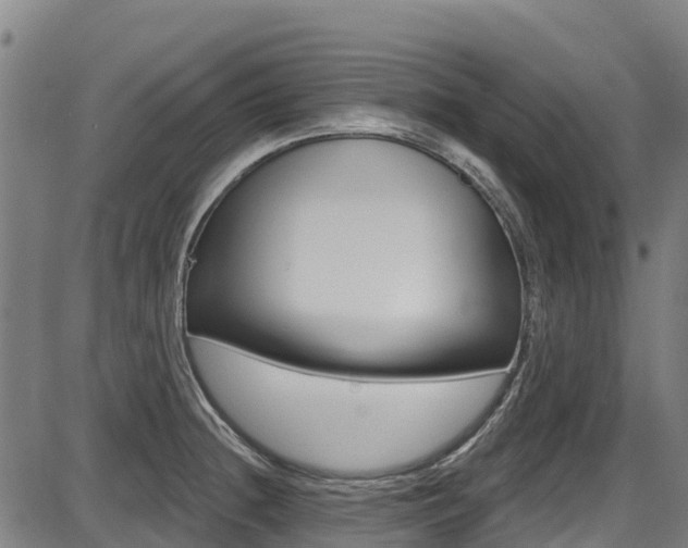 X0000087681236200705040742
