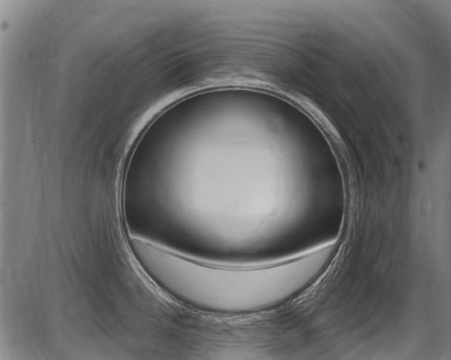 X0000087681246200705040742