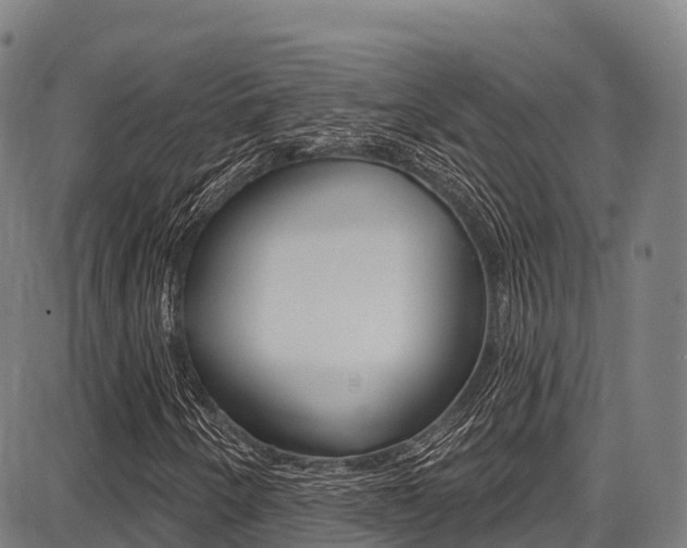 X0000087681250200705040742