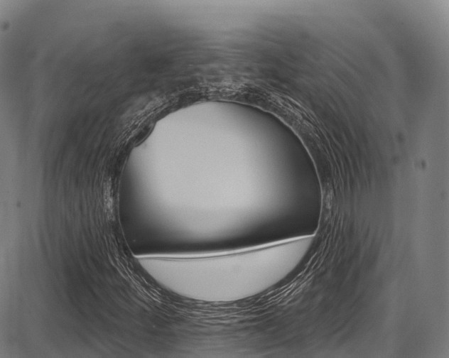 X0000087681252200705040742