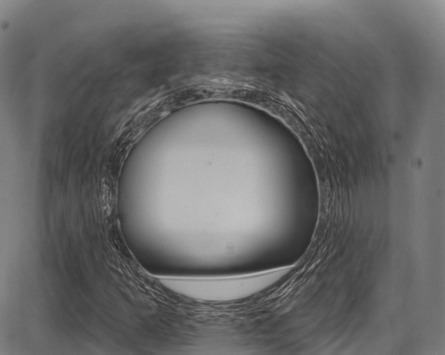 X0000087681253200705040742