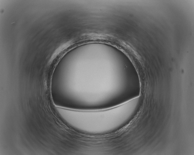 X0000087681261200705040741