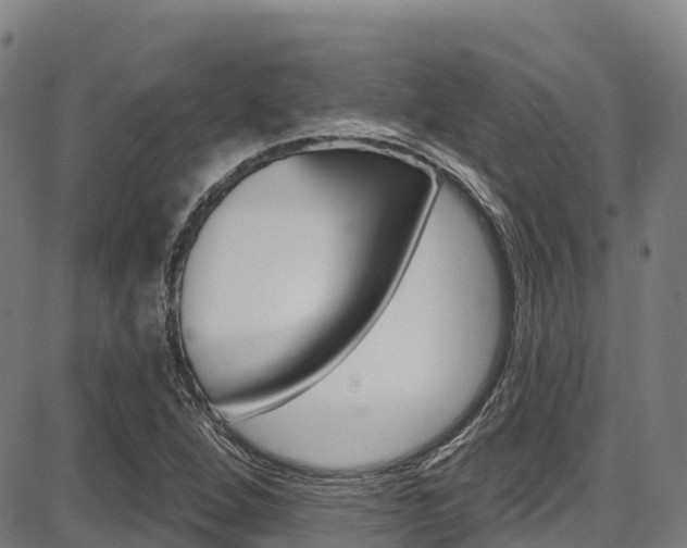 X0000087681264200705040741