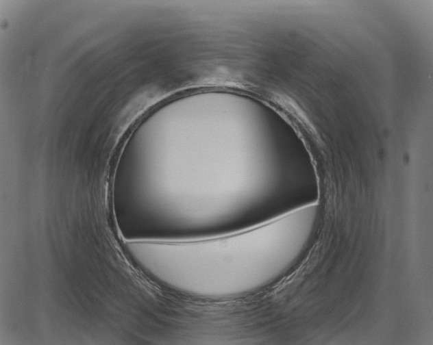 X0000087681268200705040741