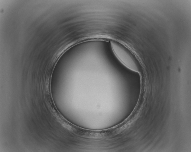 X0000087681273200705040741