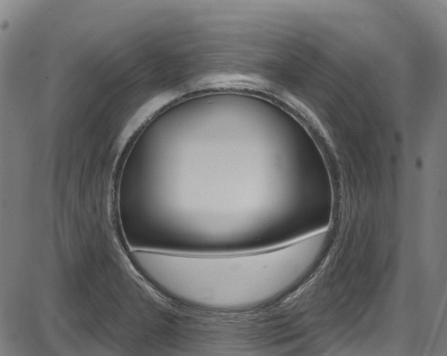 X0000087681277200705040741