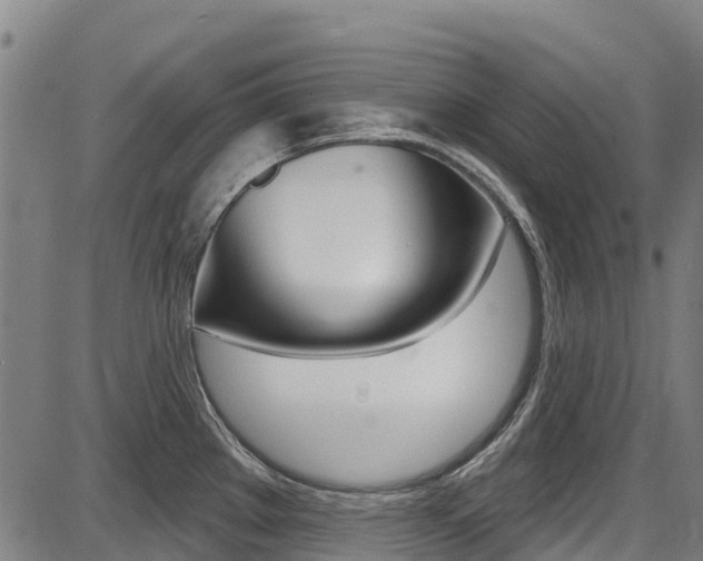 X0000087681289200705040741