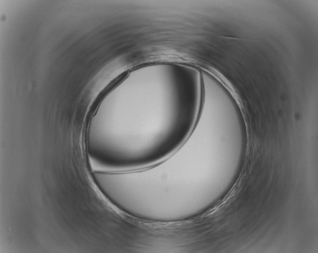 X0000087681293200705040741